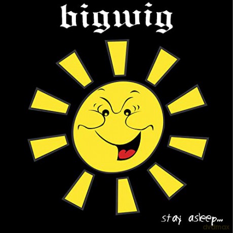 Bigwig: Stay Asleep [Winyl]