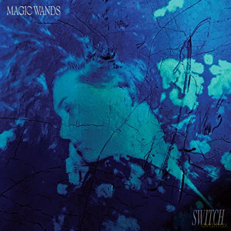 Magic Wands: Switch [CD]