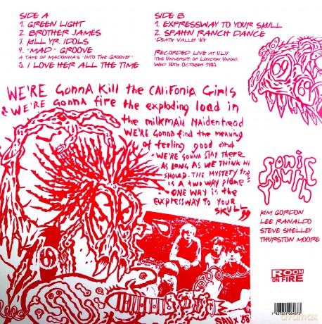 Sonic Youth: Walls Have Ears [Winyl]