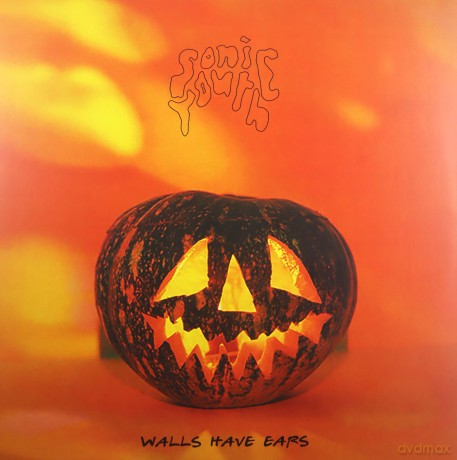 Sonic Youth: Walls Have Ears [Winyl]