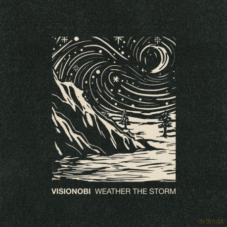 Visionobi: Weather The Storm [Winyl]