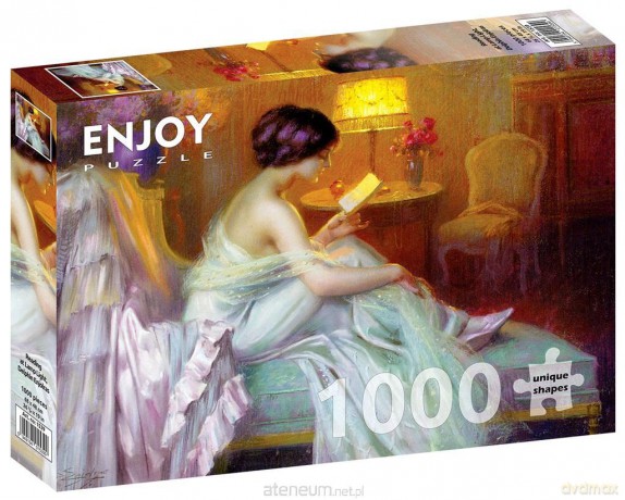 ENJOY 1000 el. Wieczorne czytanie, Delphin Enjolras [PUZZLE]