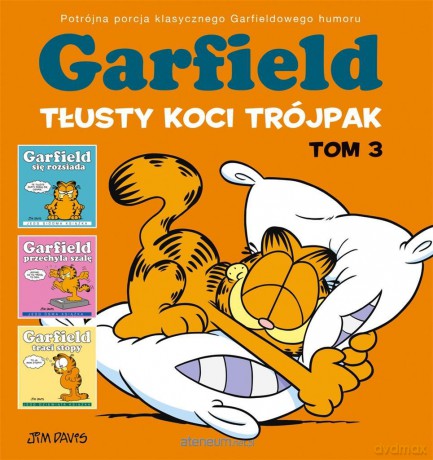 Garfield (Tom 3) Tłusty koci trójpak - Jim Davis, Jim Davis, Piotr W. Cholewa [KOMIKS]