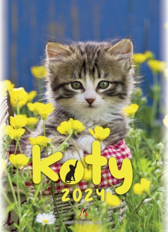 Kalendarz 2024 wieloplanszowy B4 Koty [KALENDARZ]