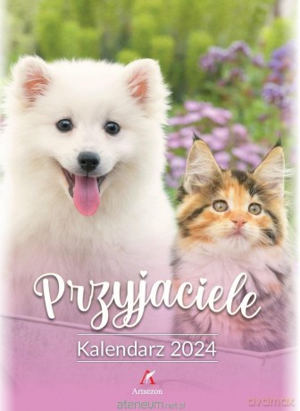 Kalendarz 2024 wieloplanszowy B4 Przyjaciele kolor [KALENDARZ]