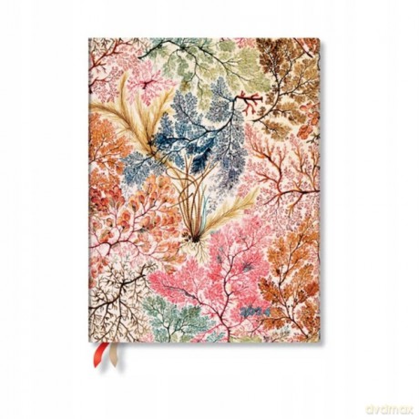 Kalendarz 2024 Anemone Ultra tygodniowy VER Flexi [KALENDARZ]