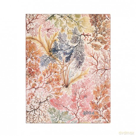 Kalendarz 2024 Anemone Ultra tygodniowy VER Flexi [KALENDARZ]