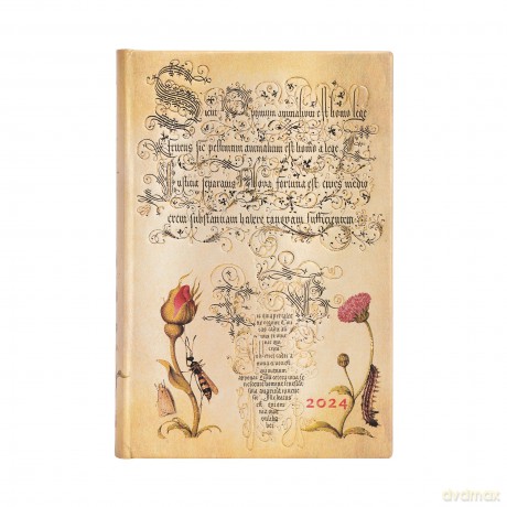Kalendarz 2024 Flemish Rose Mini Dzienny [KALENDARZ]
