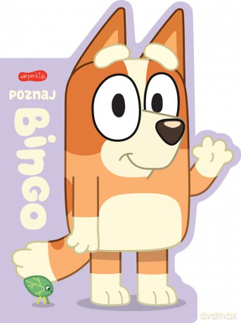 Poznaj Bingo. Bluey. Książeczki kartonowe [KSIĄŻKA]