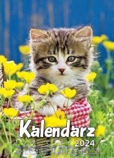 Kalendarz 2024 A6 Zdzierak MIX [KALENDARZ]