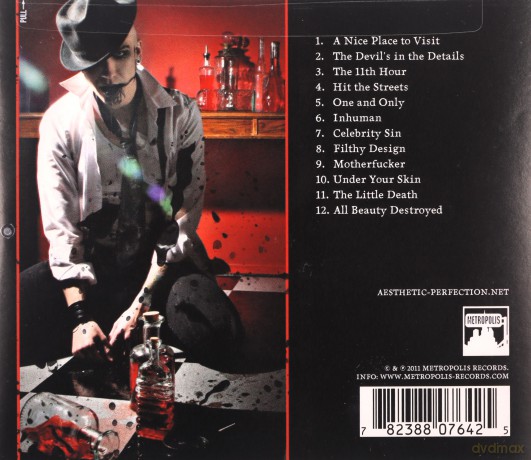 Aesthetic Perfection: All Beauty Destroyed [CD]