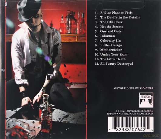 Aesthetic Perfection: All Beauty Destroyed [CD]