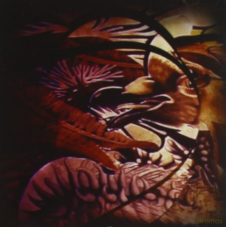 Slumberwood: Anguane [CD]