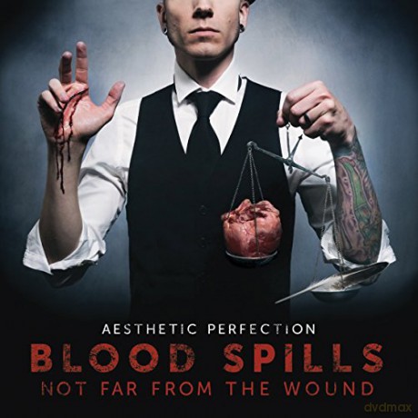 Aesthetic Perfection: Blood Spills Not Far From the Wound [CD]