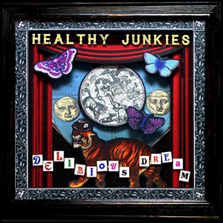 Healthy Junkies: Delirious Dream [CD]