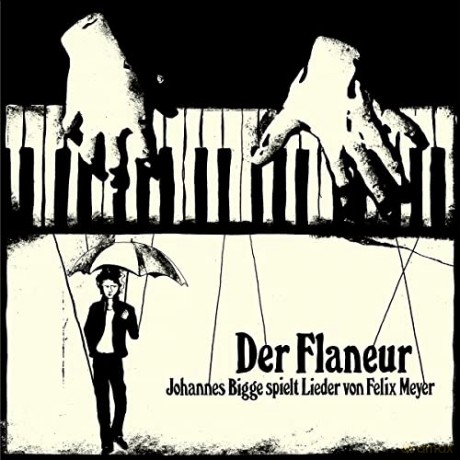 Johannes Bigge: Der Flaneur (Johannes Bigge Spielt Lieder Von Felix Meyer) [CD]
