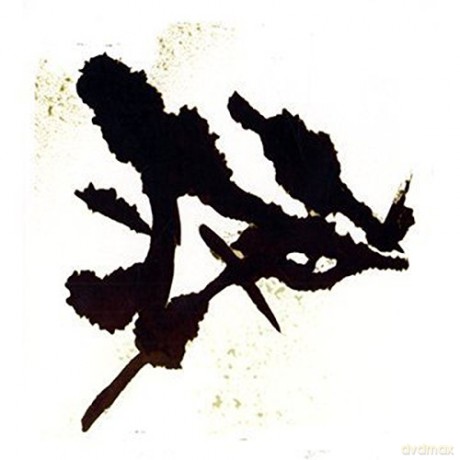 Agf: Einzelkampfer [CD]