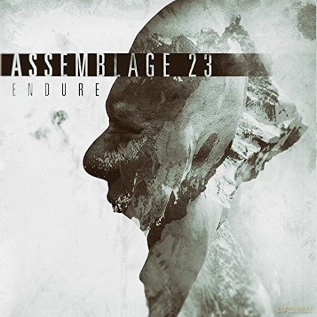 Assemblage 23: Endure [CD]