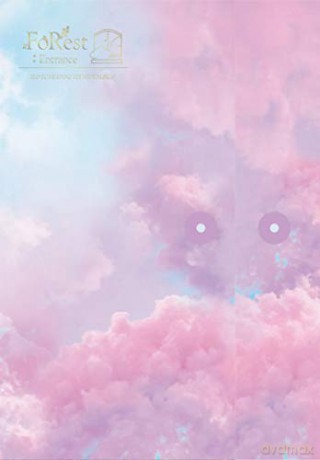 Seo Eun Kwang: Foresrt Entrance (Light Ver. [CD]