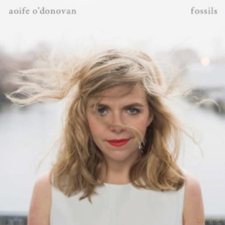 Aoife O'Donovan: Fossils [CD]