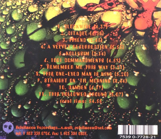 The Legendary Pink Dots: From Here You'll Watch the World Go By [CD]