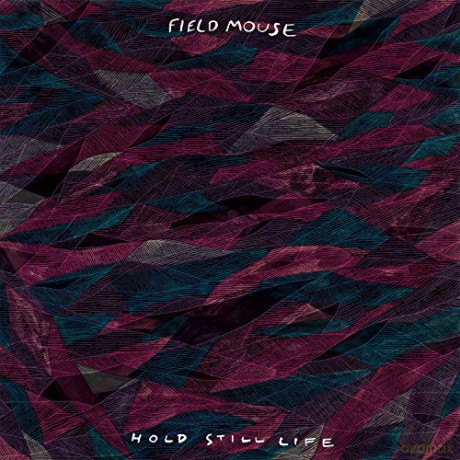 Topshelf: Hold Still Life [CD]