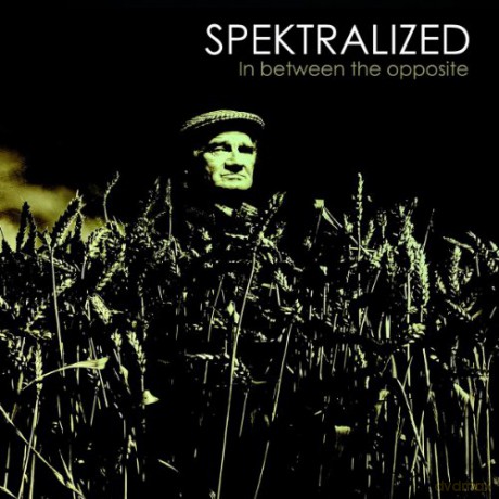 Spektralized: In Between the Opposite [CD]