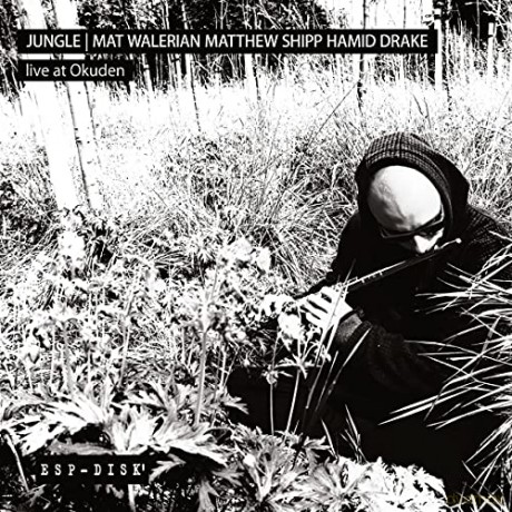 Jungle: Live At Okuden [2CD]
