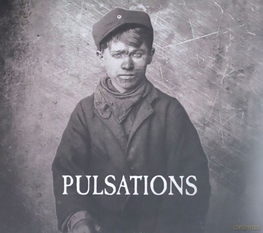Pulsations: Neglected Synapses [CD]