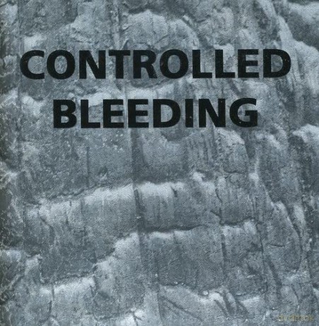 Controlled Bleeding: Odes to Bubbler [CD]
