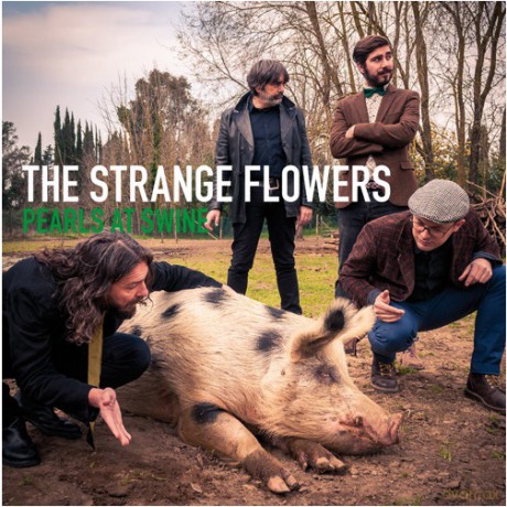 Strange Flowers: Pearls at Swine [CD]