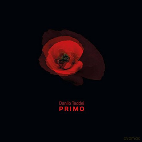 Taddei: Primo [CD]