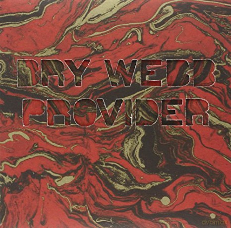 Bry Webb: Provider [CD]