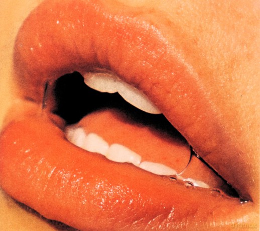 Islands: Taste [CD]
