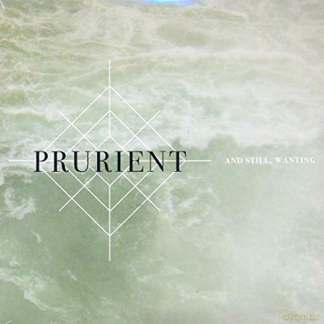 Prurient: The Black Post Society [CD]