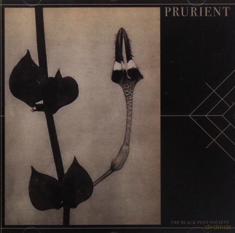 Prurient: The Black Post Society [CD]