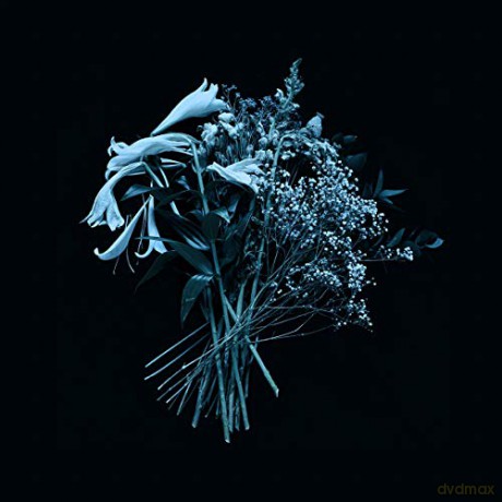 Mirror Of Haze: The End Is The Beginning [CD]