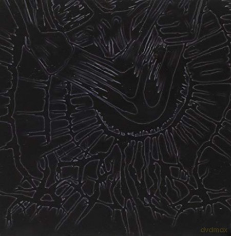 Ruinizer: The Faceless Aberration [CD]