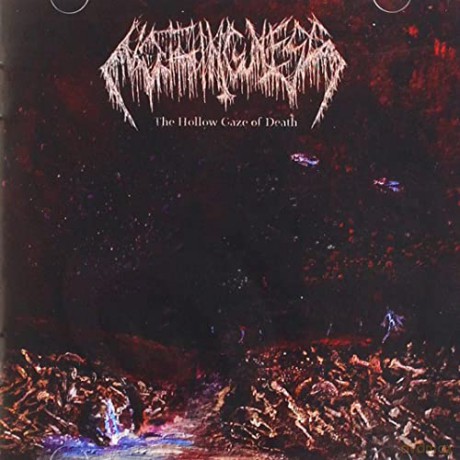 Nothingness: The Hollow Gaze Of Death [CD]