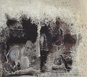 Raison D'Etre: The Stains Of The Embodied Sacrifice [2CD]