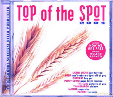 Vari-Top of the Spot: Top of the Spot 2004 [CD]