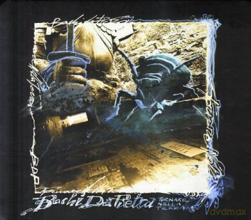 Bachi Da Pietra: Tornare Nella Terra [CD]