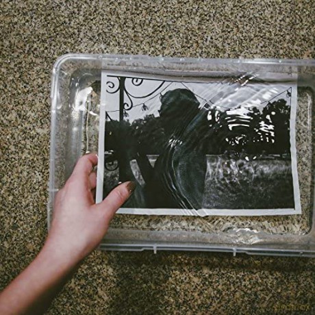 Verse: Verse [CD]