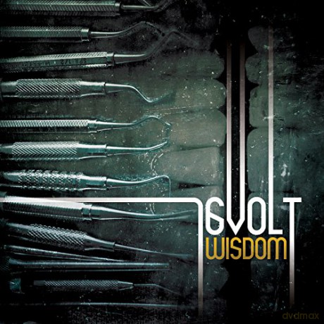16volt: Wisdom [CD]