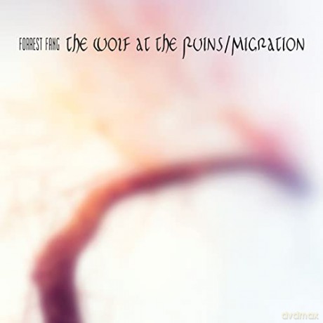 Forrest Fang: Wolf at Ruins/migration (Speci [2CD]