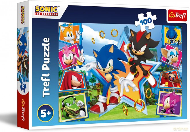 TREFL 100 el. elementów Poznaj Sonica Sonic [PUZZLE]