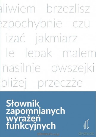 Słownik zapomnianych wyrażeń funkcyjnych - Radosław Pawelec [KSIĄŻKA]