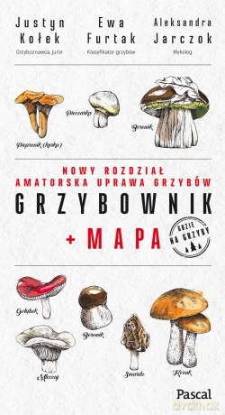Grzybownik + mapa - Justyn Kołek, Ewa Furtak, Aleksandra Jarczok [KSIĄŻKA]
