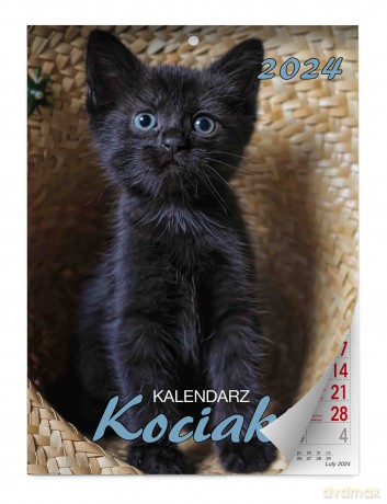 Kalendarz 2024 Kociaki ścienny [KALENDARZ]