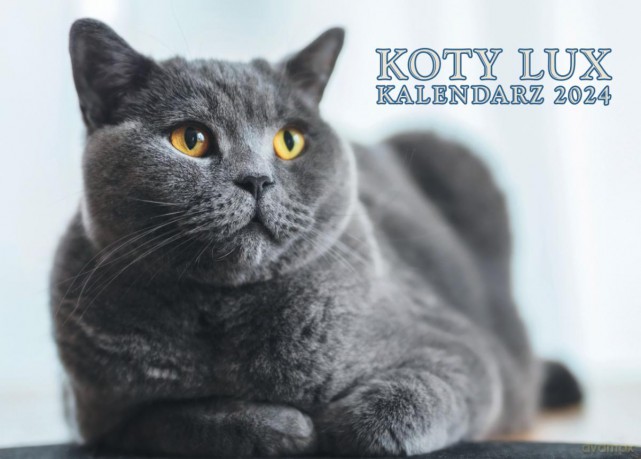 Kalendarz 2024 Koty lux ścienny [KALENDARZ]